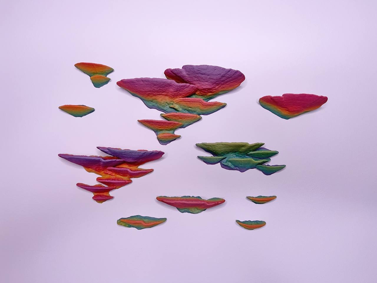 Lot de 10 étagères flottantes phosphorescentes pour champignons Trametes Pubescens