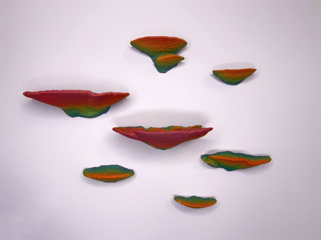 Mini-champignons flottants phosphorescents Trametes Pubescens, lot de 7