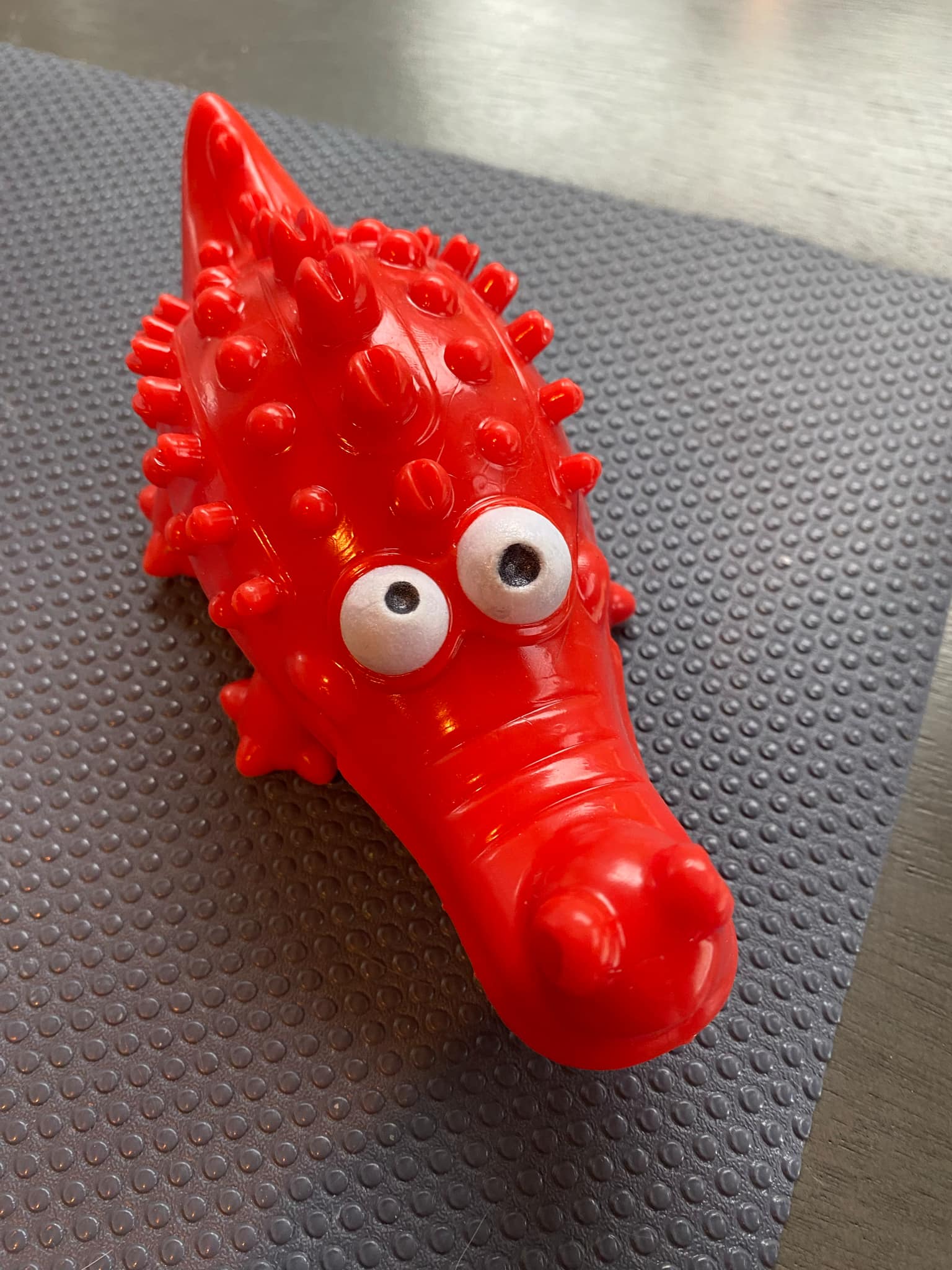 Jouet à mâcher pour chien en forme d'alligator - Couine