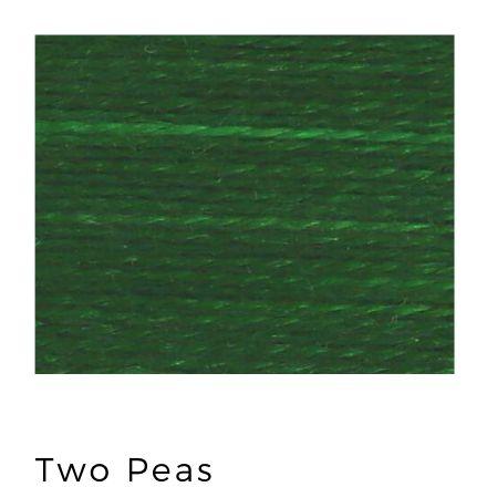 Trailhead Yarn - Two Peas 241