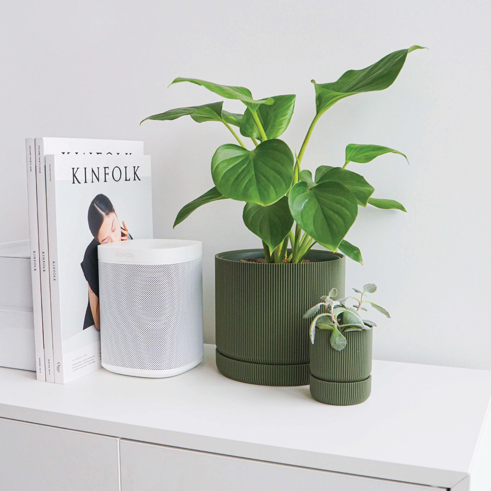 Plant Pots and Indoor Gardening