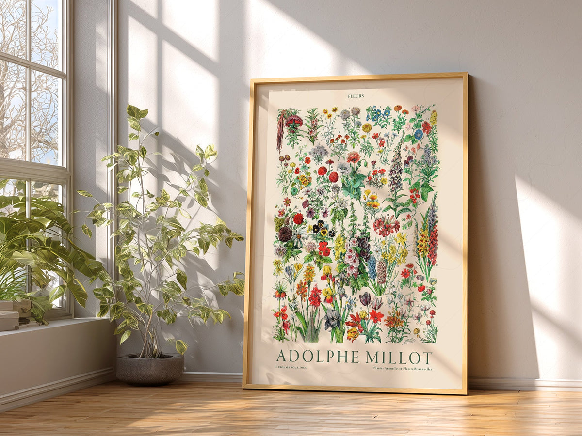 Adolphe Millot Fleurs Botanical Art Print – Vintage Flower Wall Art