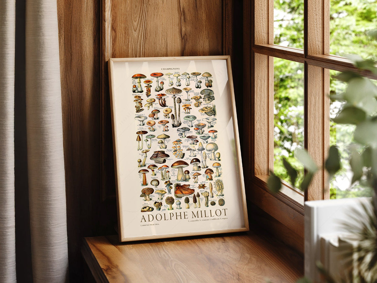 Adolphe Millot Champignons Mushroom Print – Vintage Botanical Poster