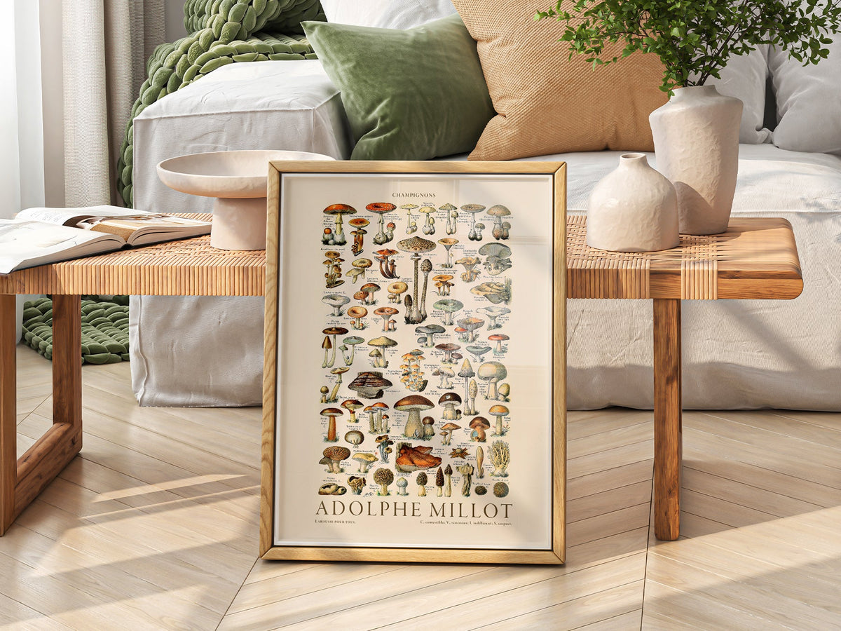 Adolphe Millot Champignons Mushroom Print – Vintage Botanical Poster