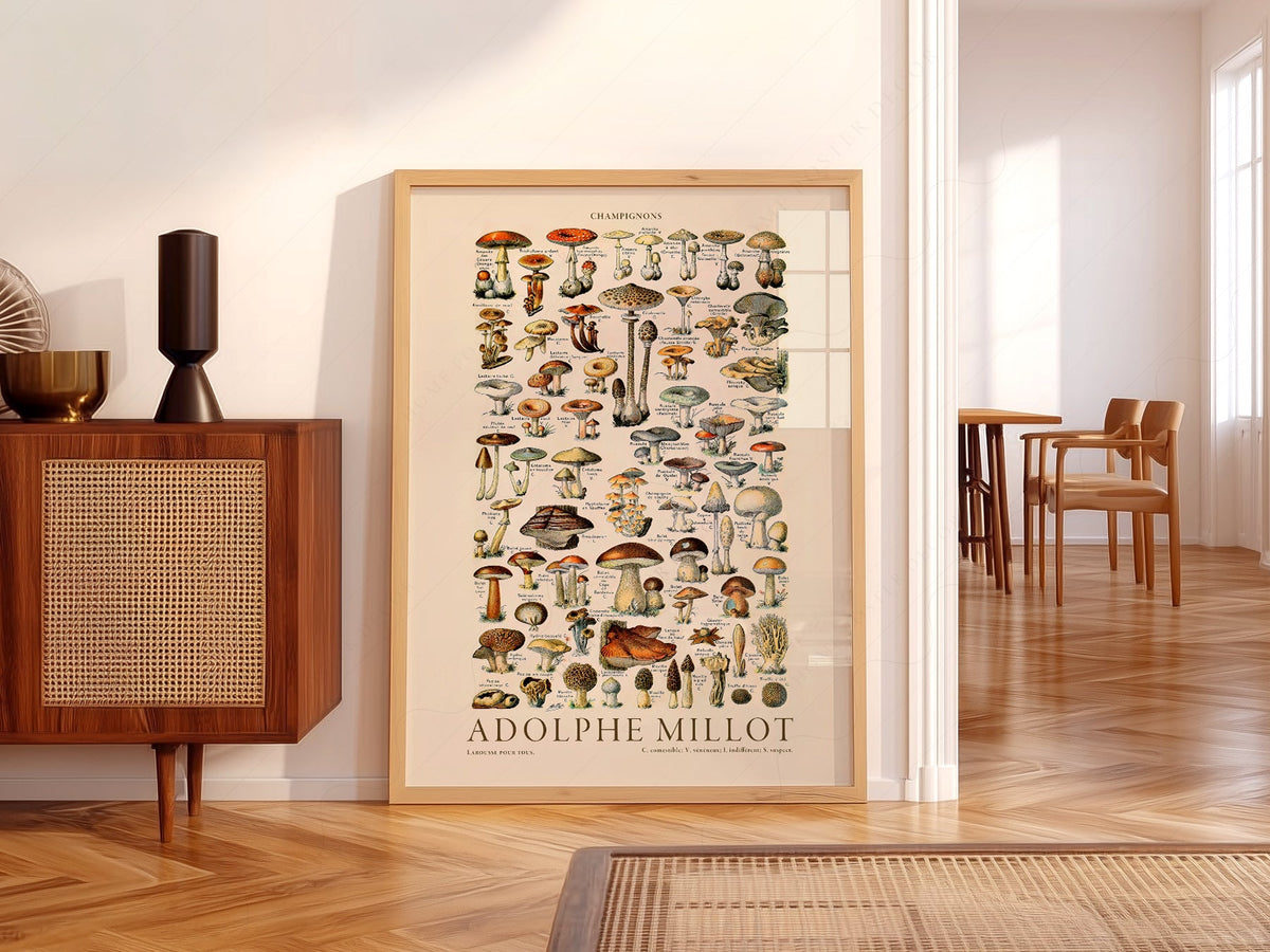 Adolphe Millot Champignons Mushroom Print – Vintage Botanical Poster