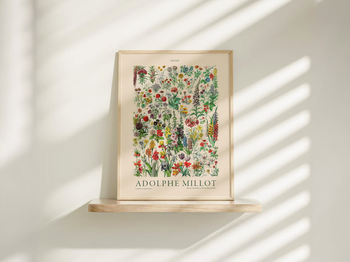 Adolphe Millot Fleurs Botanical Art Print – Vintage Flower Wall Art