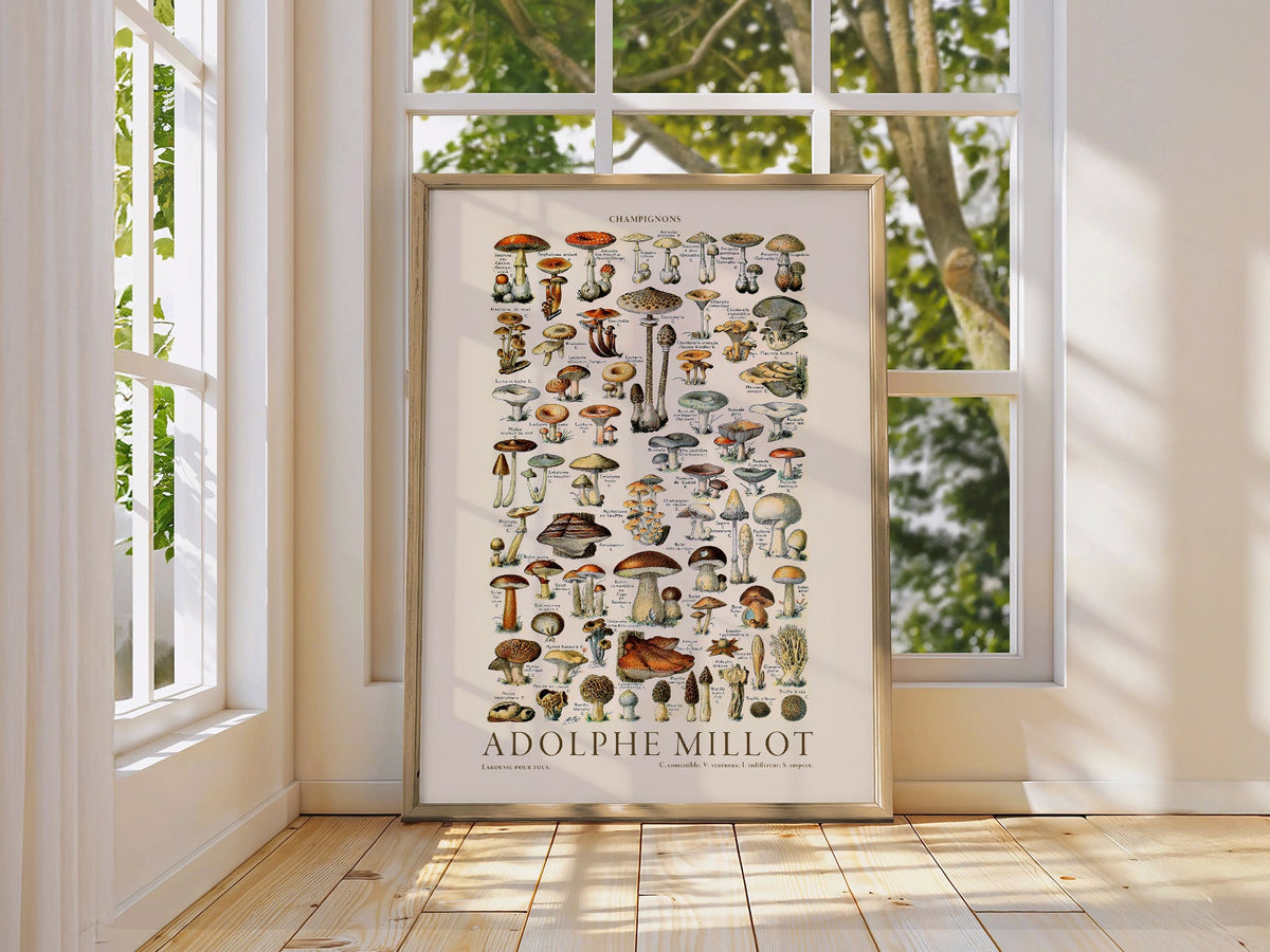 Adolphe Millot Champignons Mushroom Print – Vintage Botanical Poster