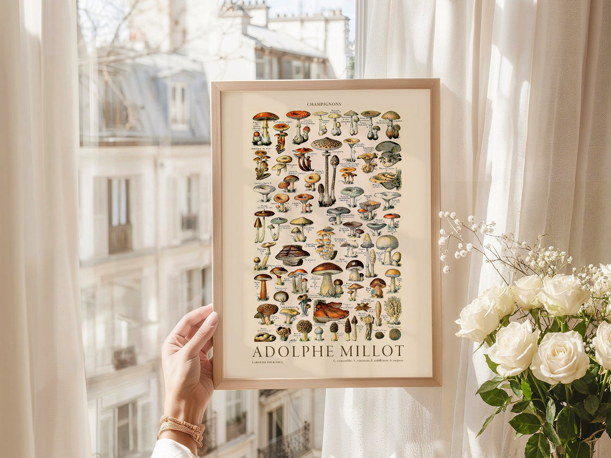 Adolphe Millot Champignons Mushroom Print – Vintage Botanical Poster
