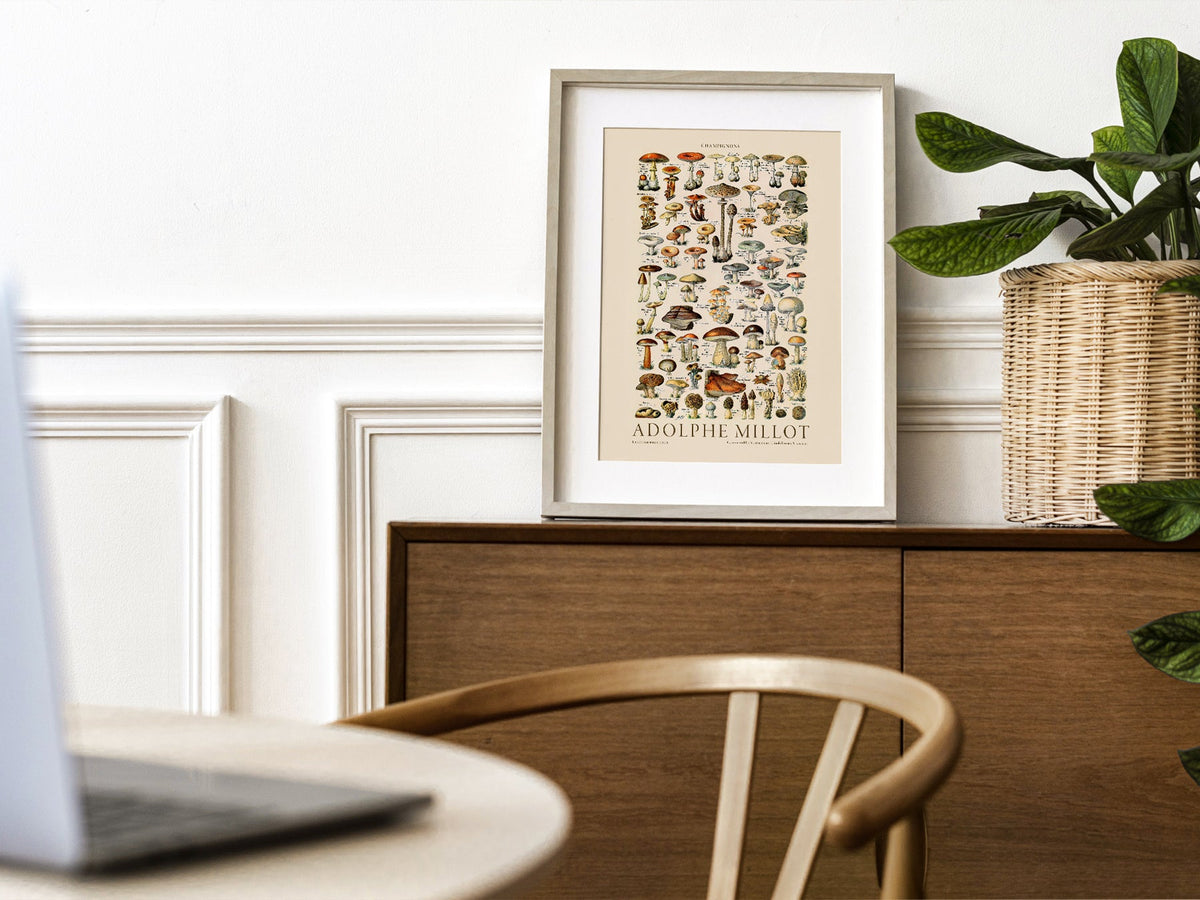 Adolphe Millot Champignons Mushroom Print – Vintage Botanical Poster