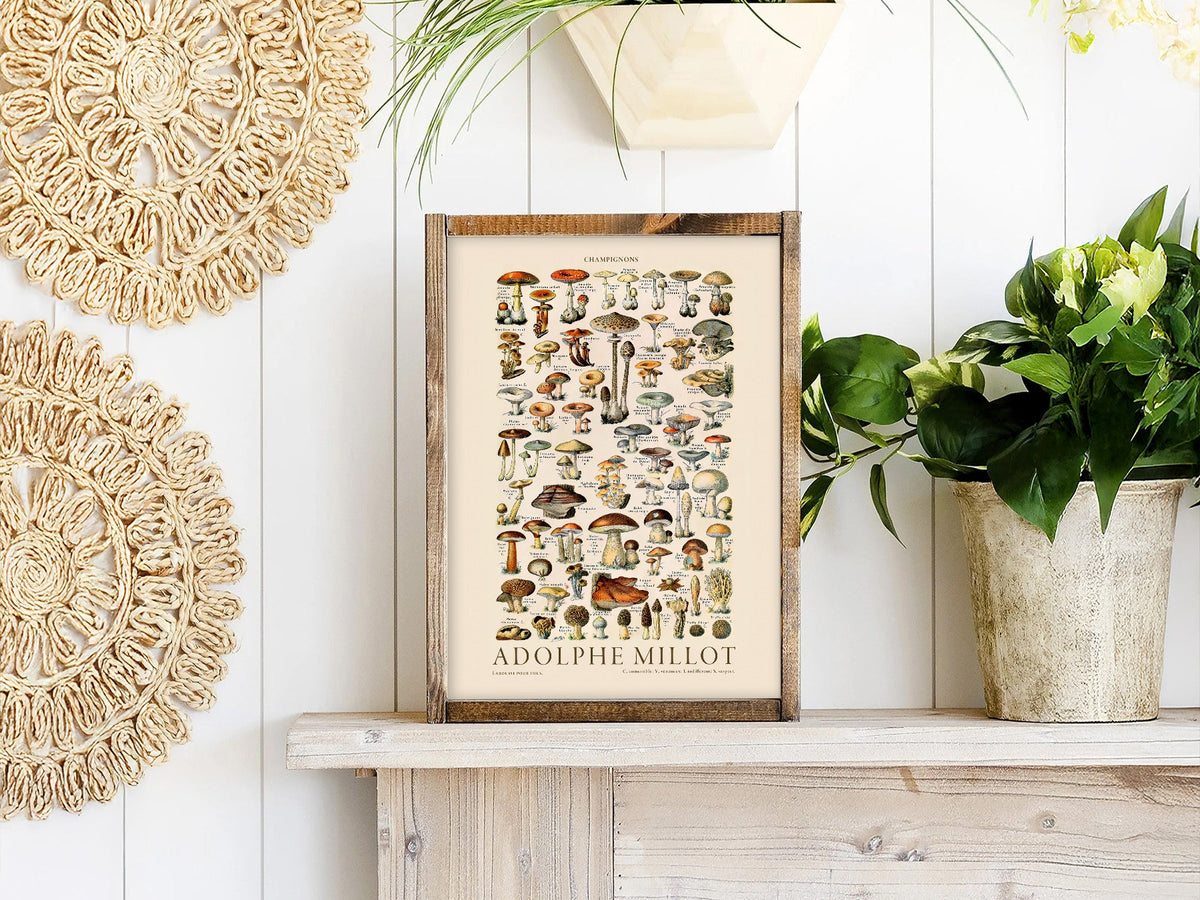 Adolphe Millot Champignons Mushroom Print – Vintage Botanical Poster