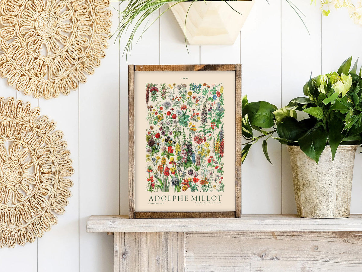 Adolphe Millot Fleurs Botanical Art Print – Vintage Flower Wall Art