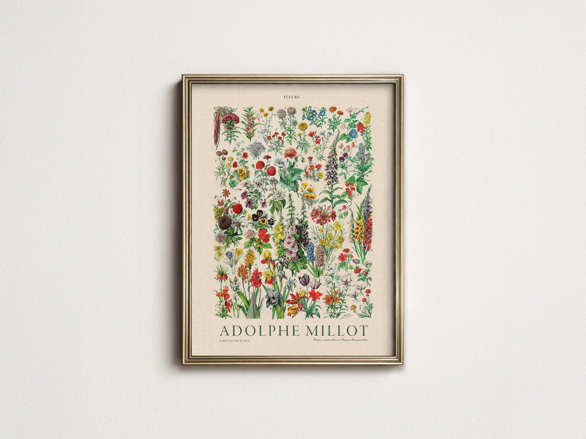 Adolphe Millot Fleurs Botanical Art Print – Vintage Flower Wall Art