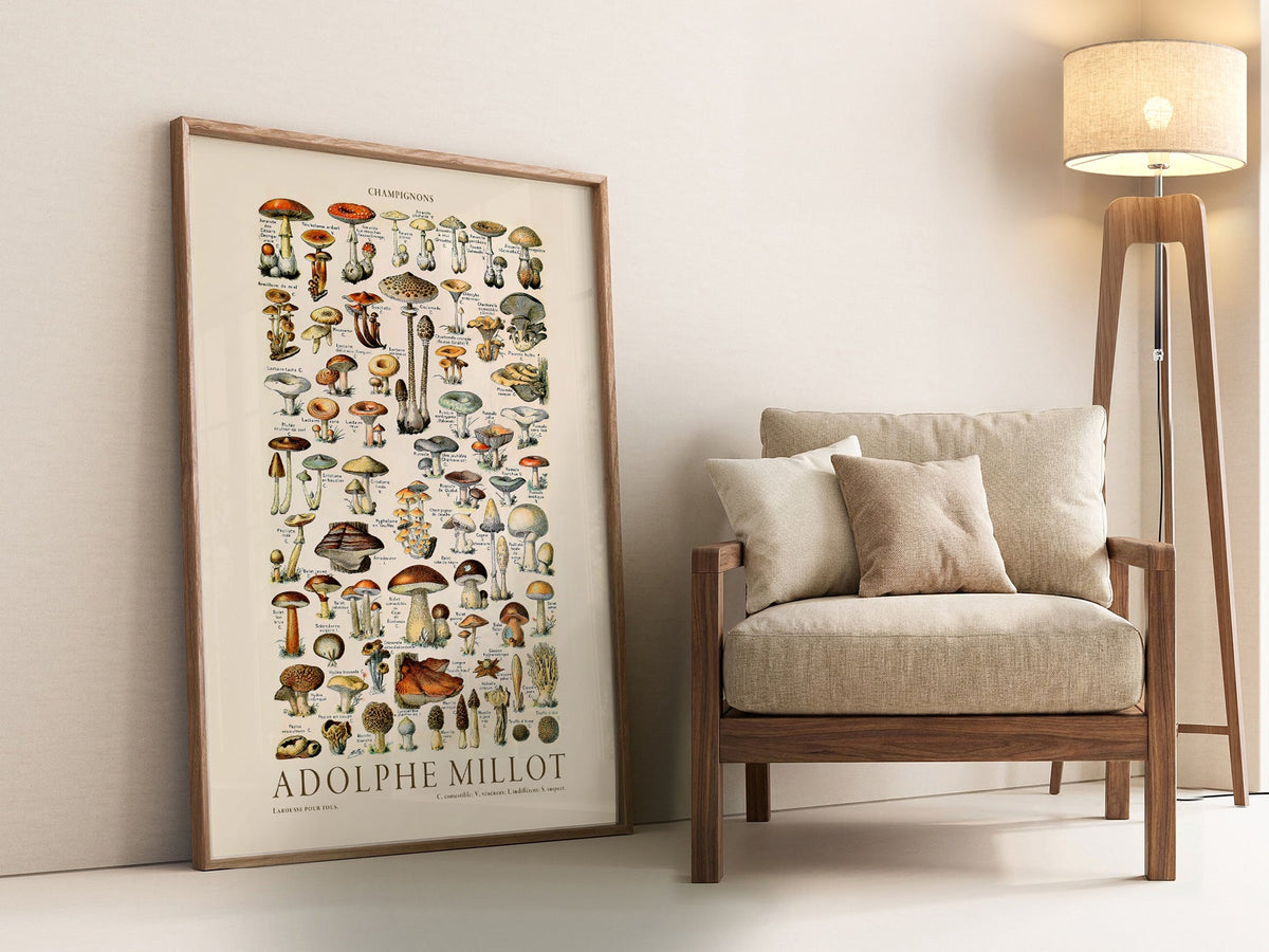 Adolphe Millot Champignons Mushroom Print – Vintage Botanical Poster