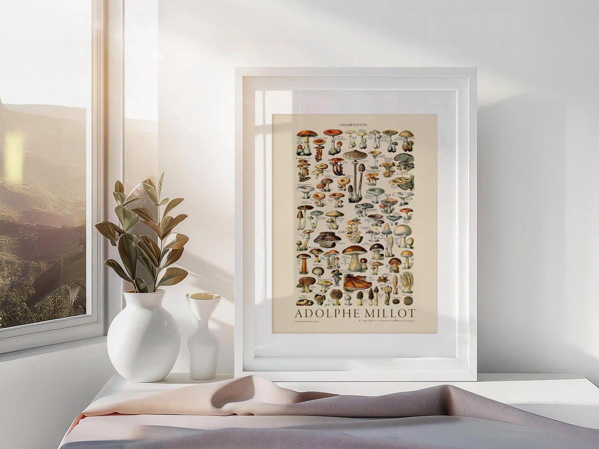 Adolphe Millot Champignons Mushroom Print – Vintage Botanical Poster