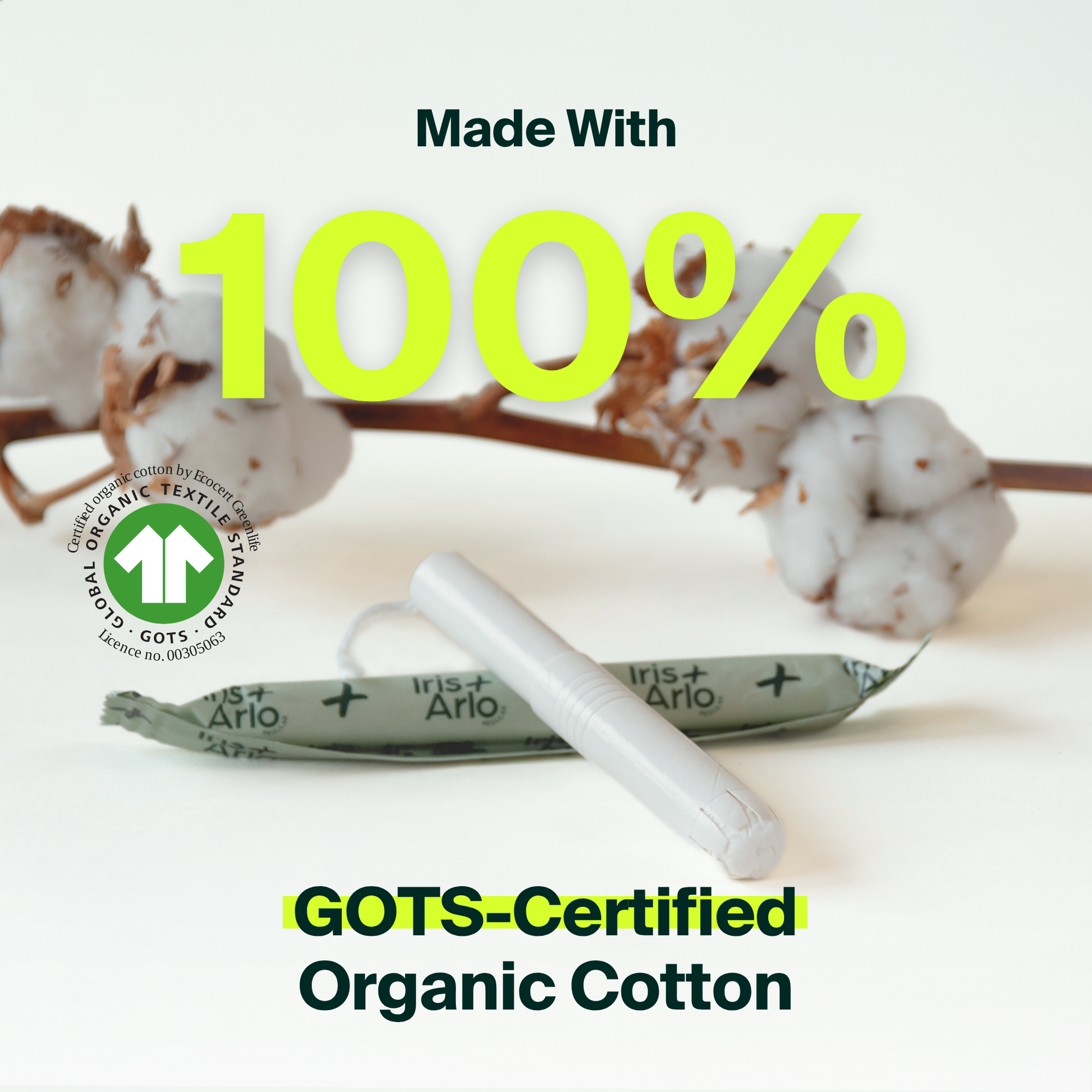 Tampons applicateurs, applicateur en carton - régulier - en vrac (100)