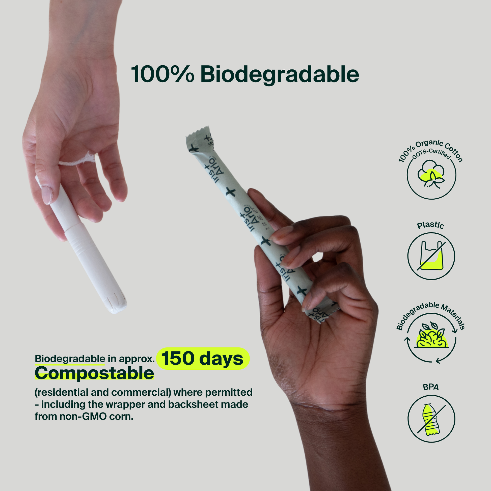 Tampons applicateurs en vrac, applicateur en carton, standard