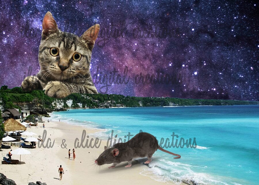 Strange Sci-fi Collage Art Postcards