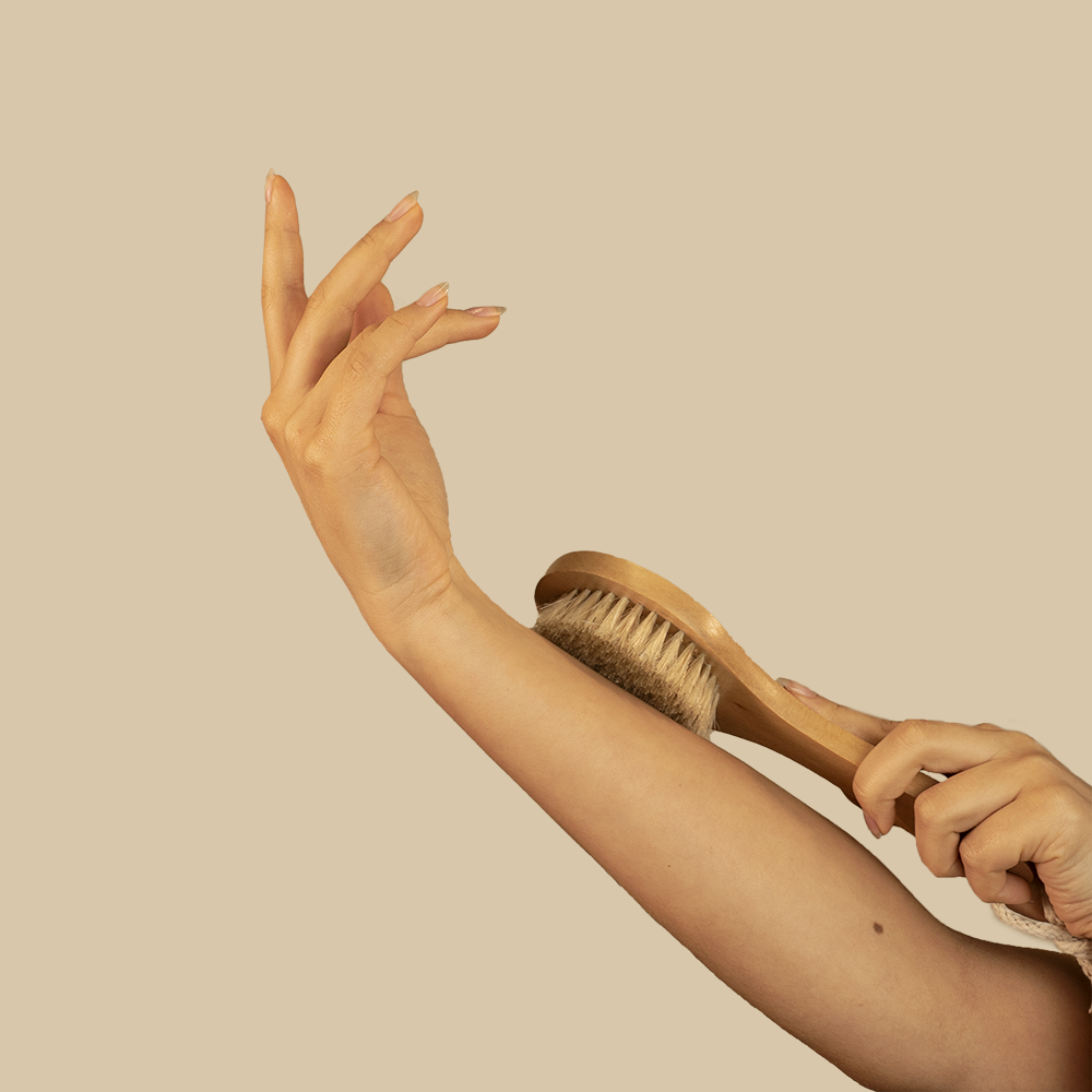 Brosse à sec pour le corps