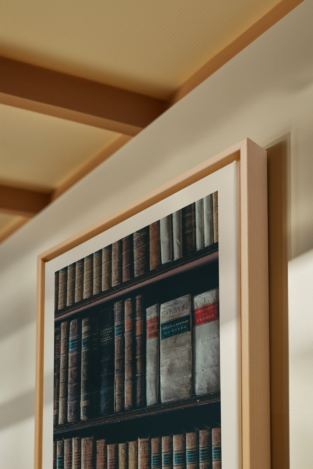 Hidden Knowledge, Stretched Canvas Artwork