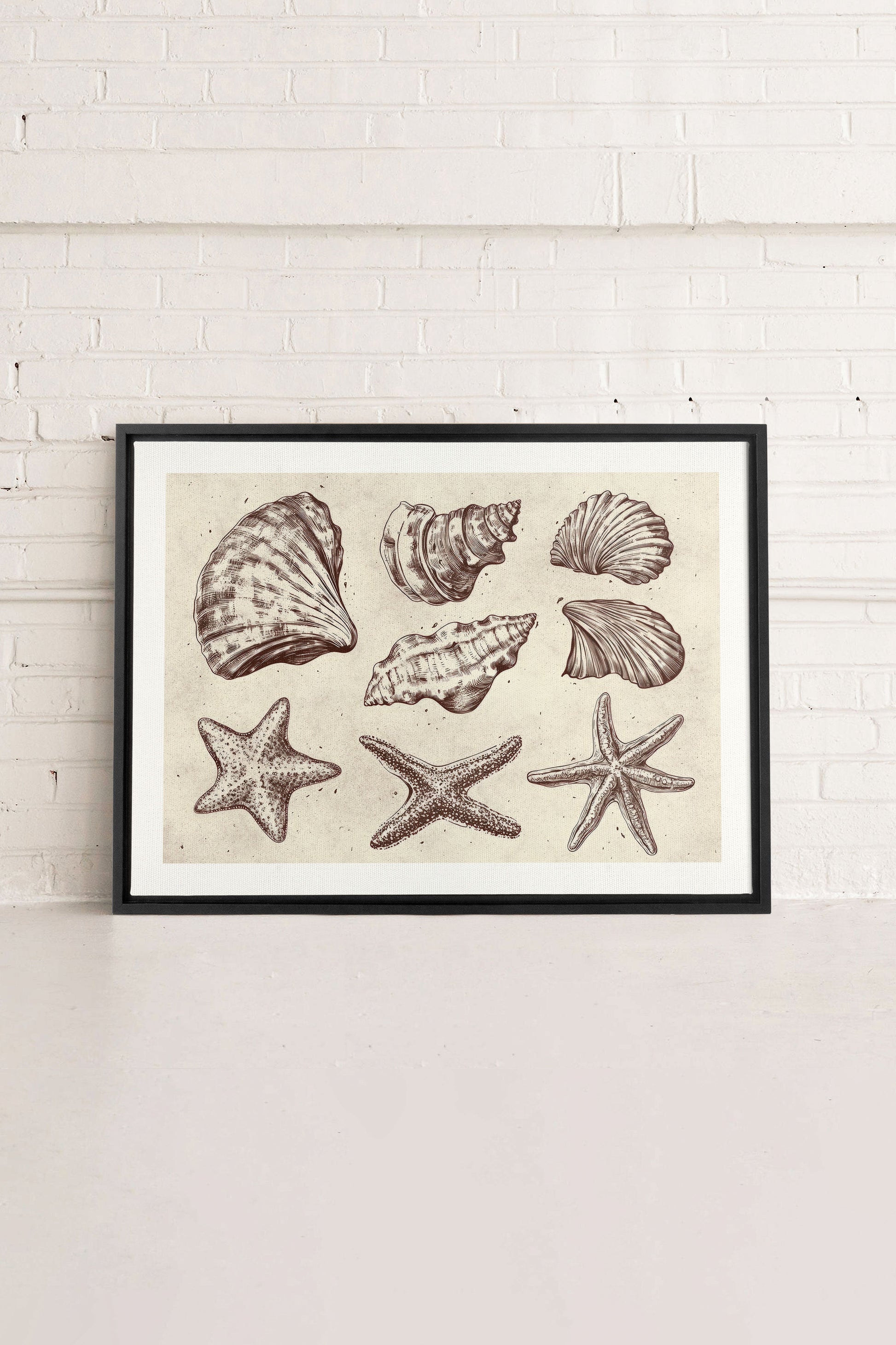Coastal Collection, Stretched Canvas Artwork