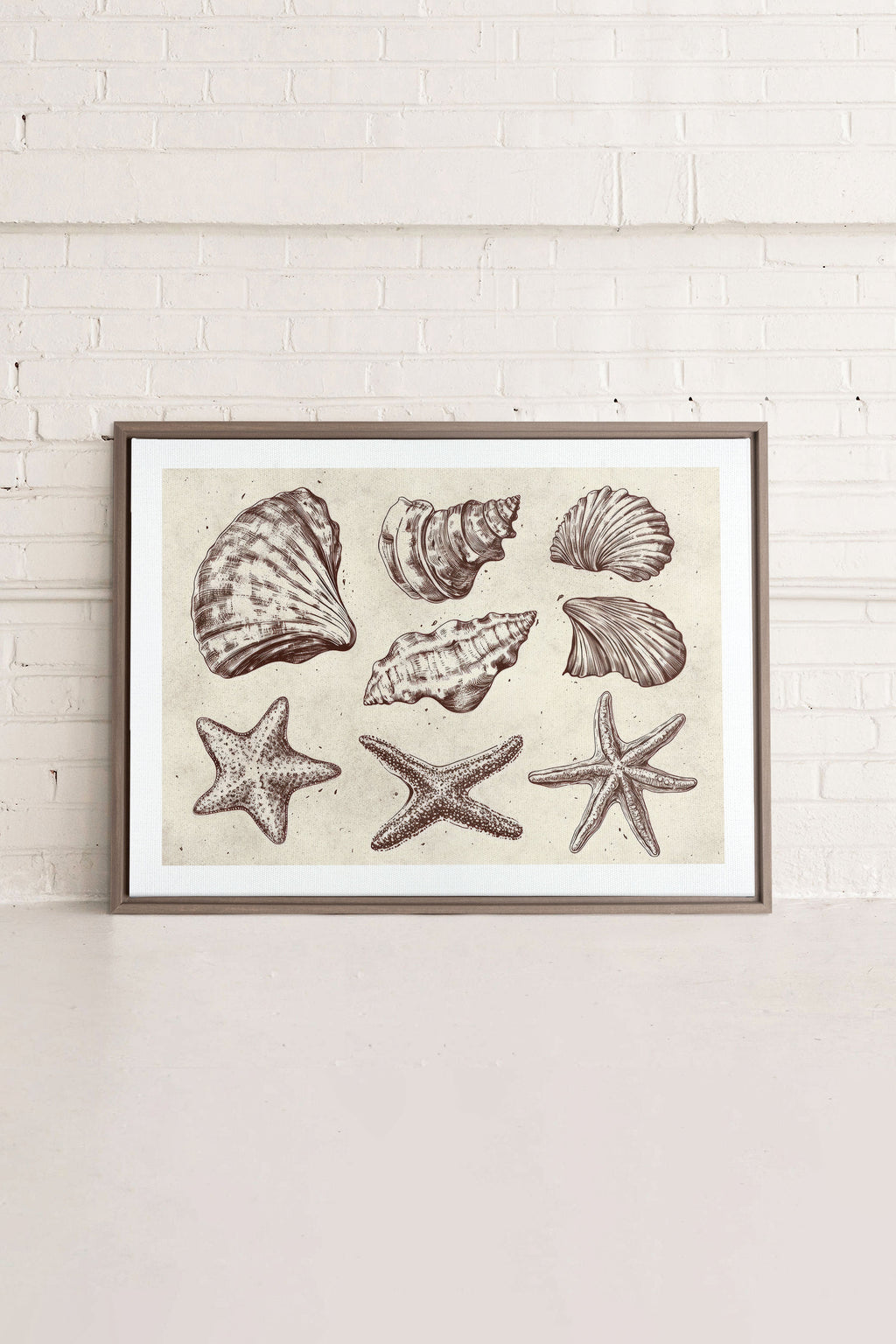 Coastal Collection, Stretched Canvas Artwork