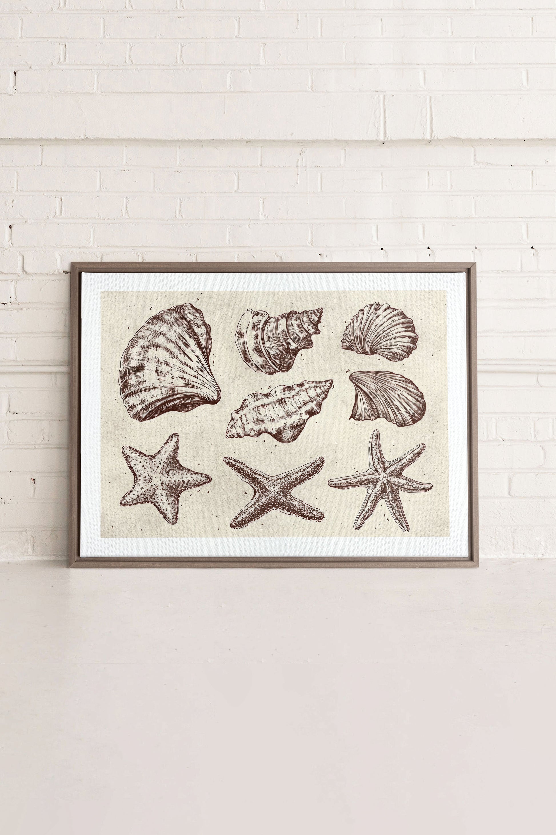 Coastal Collection, Stretched Canvas Artwork
