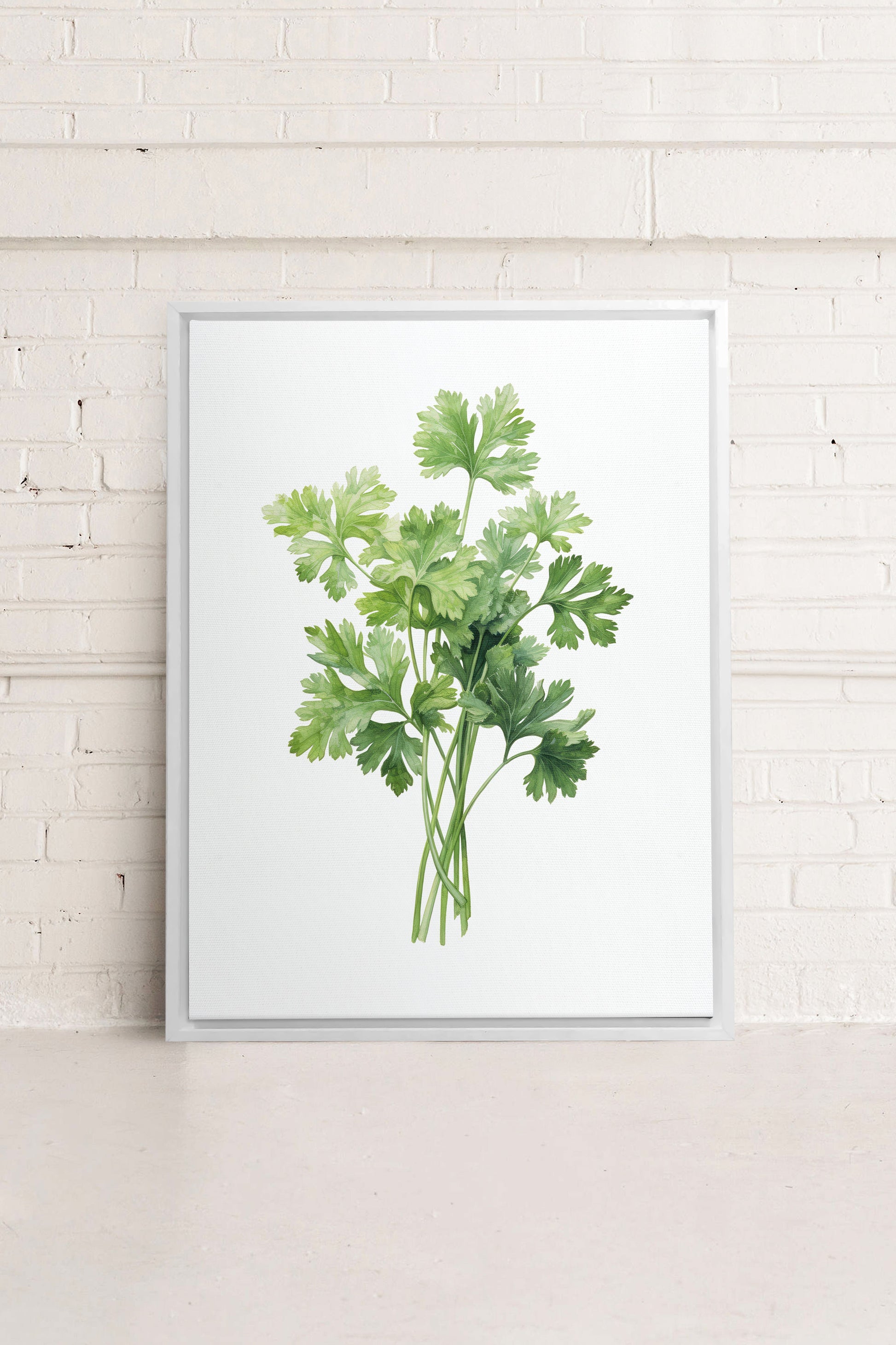 CILANTRO, Stretched Canvas Artwork