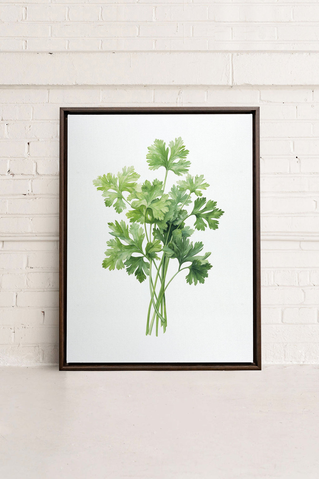 CILANTRO, Stretched Canvas Artwork