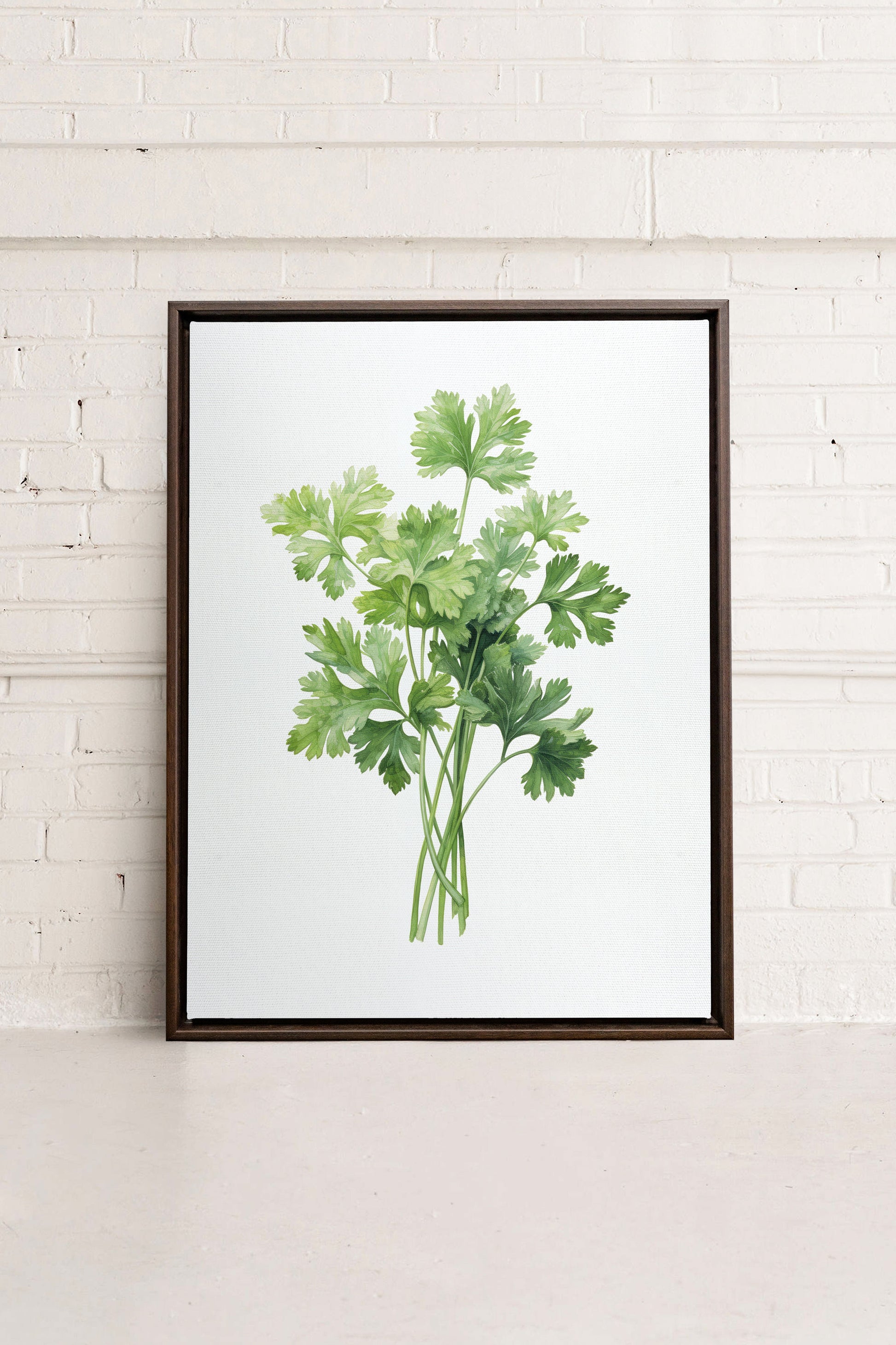 CILANTRO, Stretched Canvas Artwork