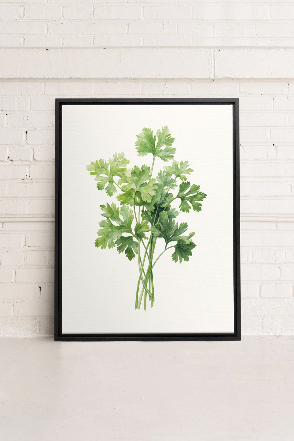 CILANTRO, Stretched Canvas Artwork