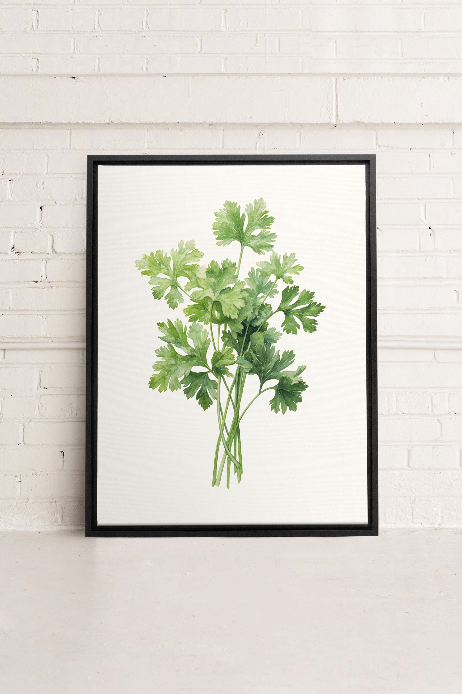 CILANTRO, Stretched Canvas Artwork
