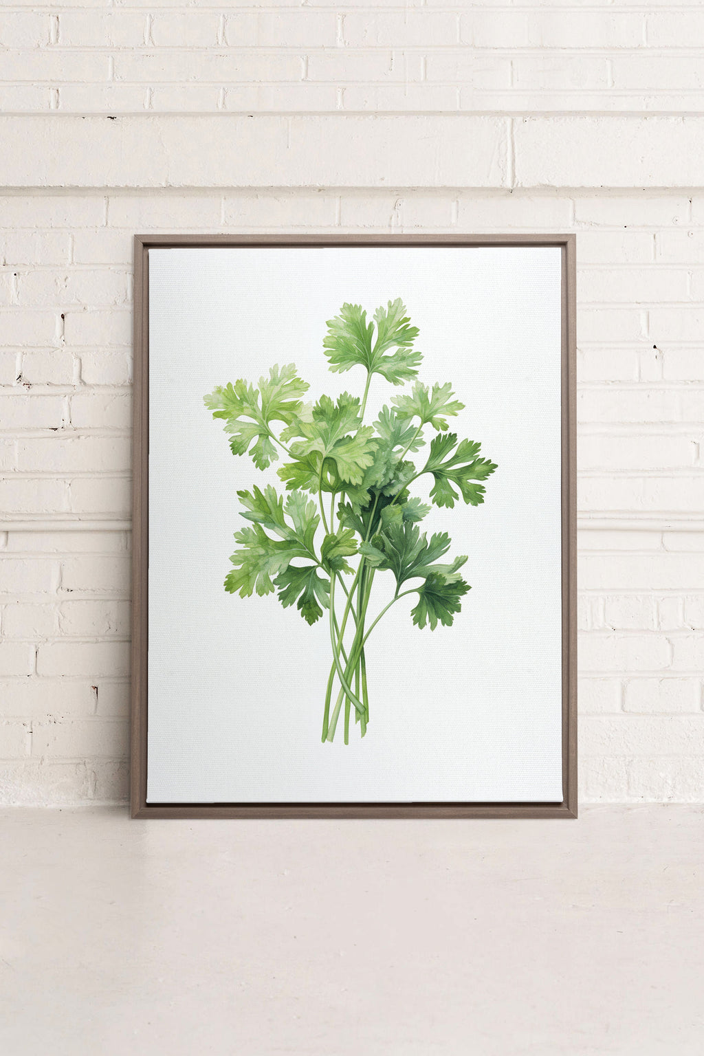 CILANTRO, Stretched Canvas Artwork