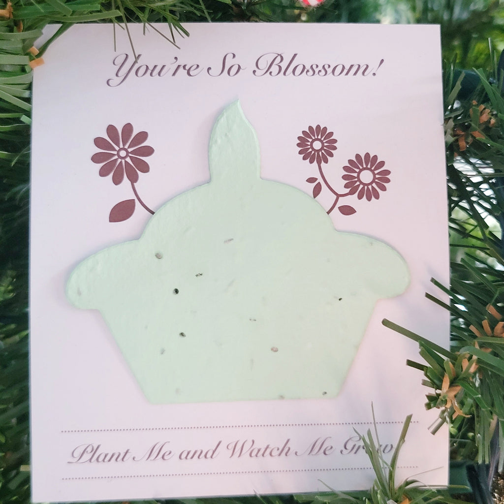 NOUVEAU (Vente au détail) - Papier à cupcakes plantable You're So Blossom (fait pousser des fleurs sauvages) 🍁