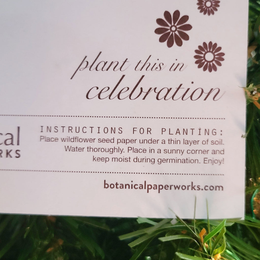 NOUVEAU (Vente au détail) - Papier à cupcakes plantable You're So Blossom (fait pousser des fleurs sauvages) 🍁