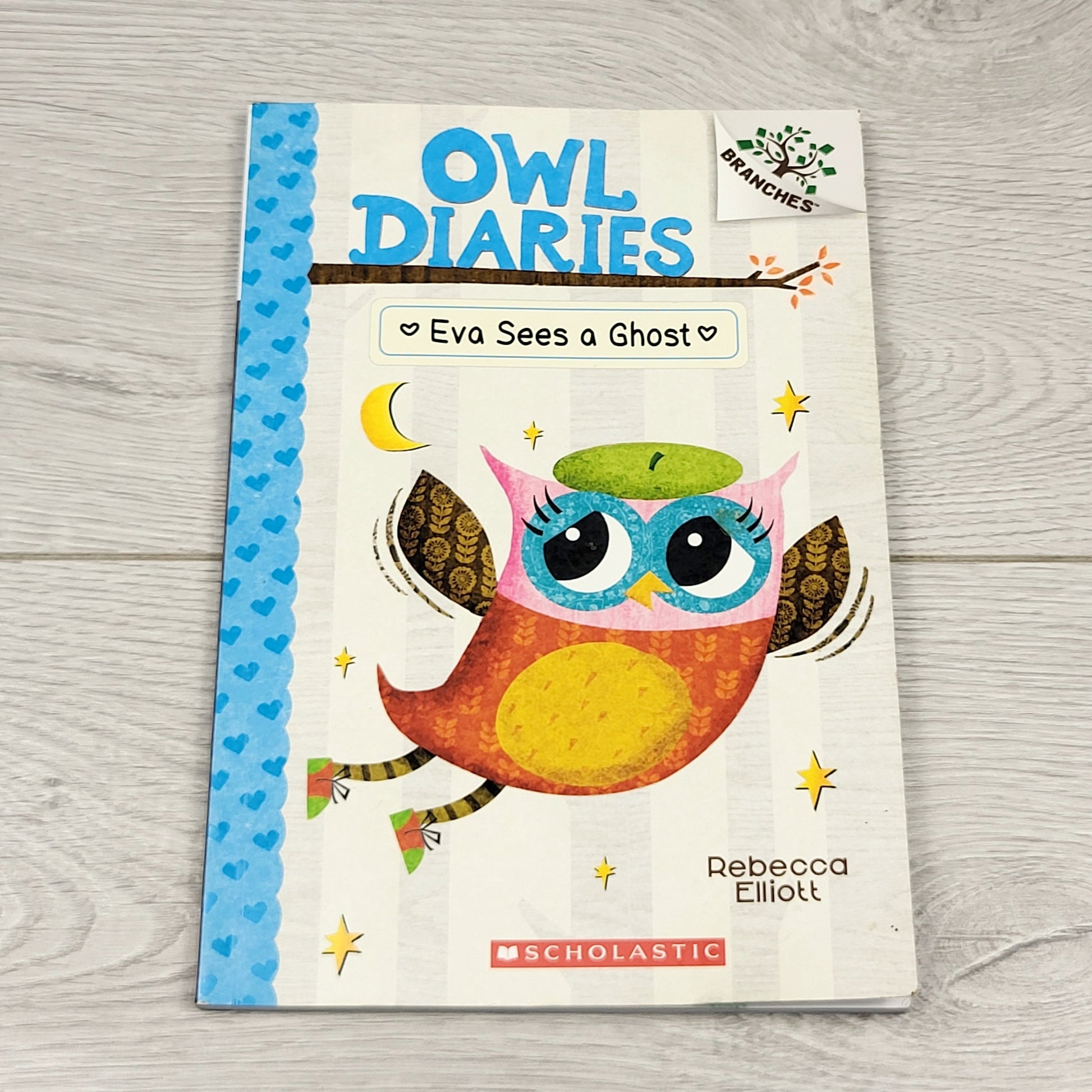 SHYS2 - Eva voit un fantôme. Journal d'un hibou à couverture souple.
