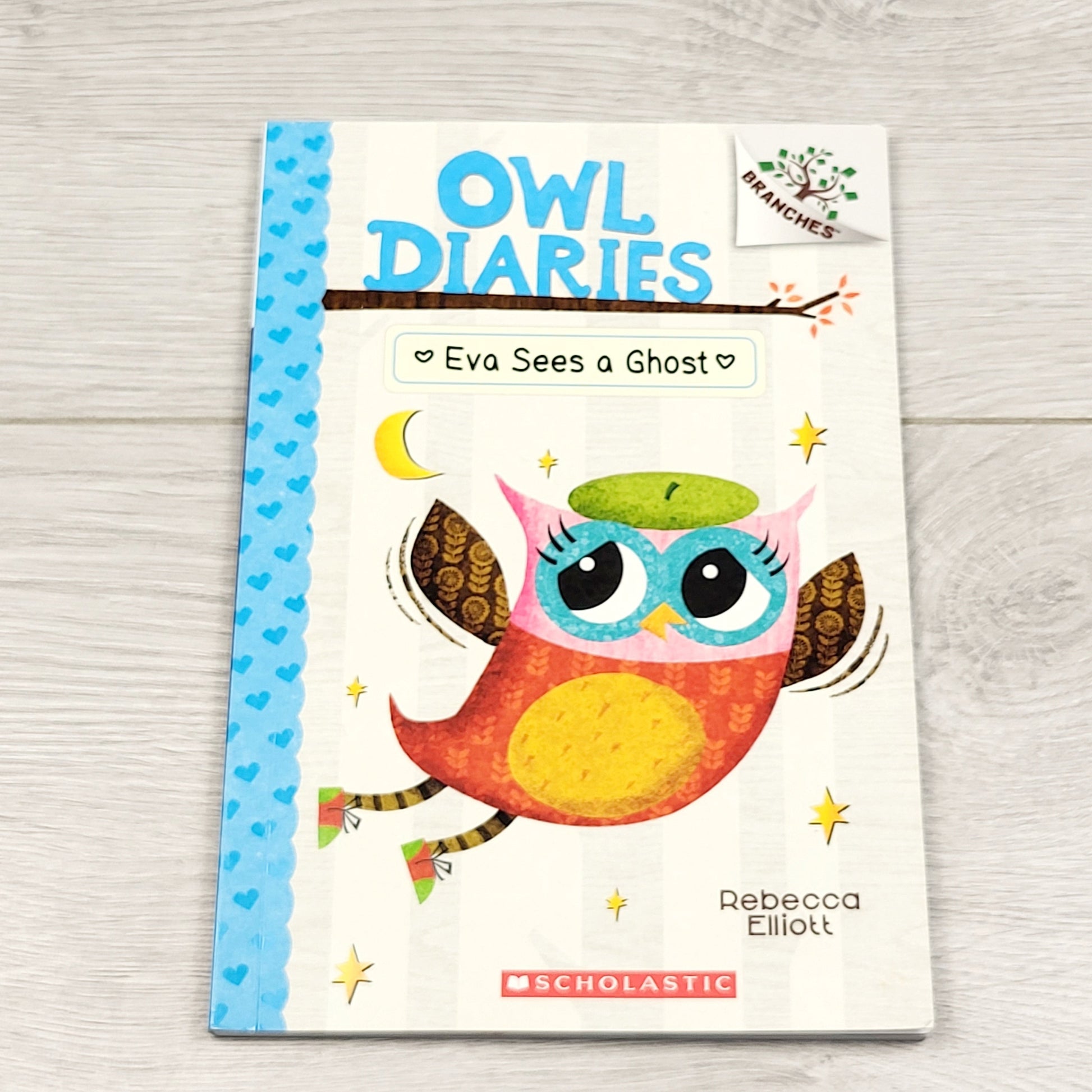 MIRE3 - Eva voit un fantôme. Carnet de hibou à couverture souple, livre pour débutants.