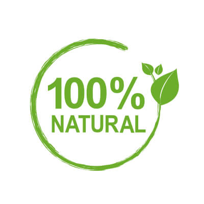 Chaga Hand & Body Lotion