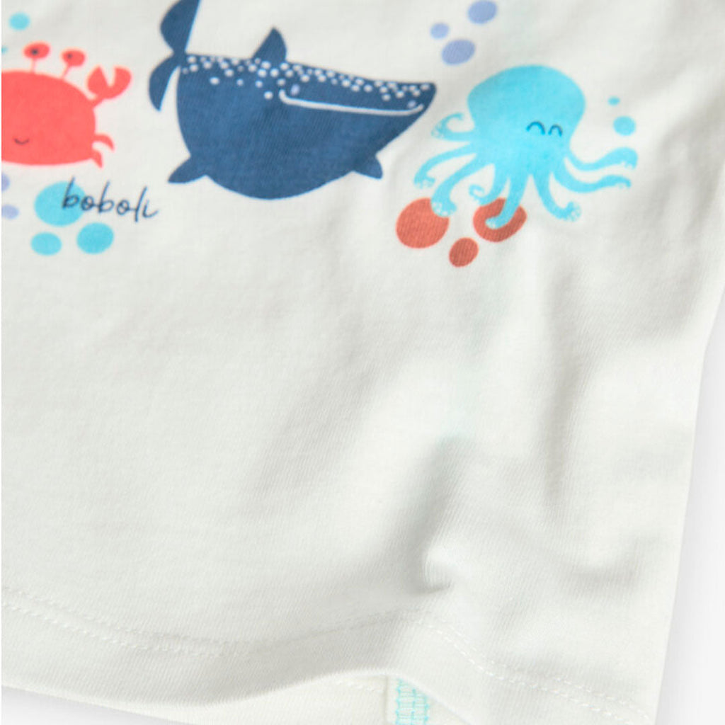 Surprise Baby Gift - Boy