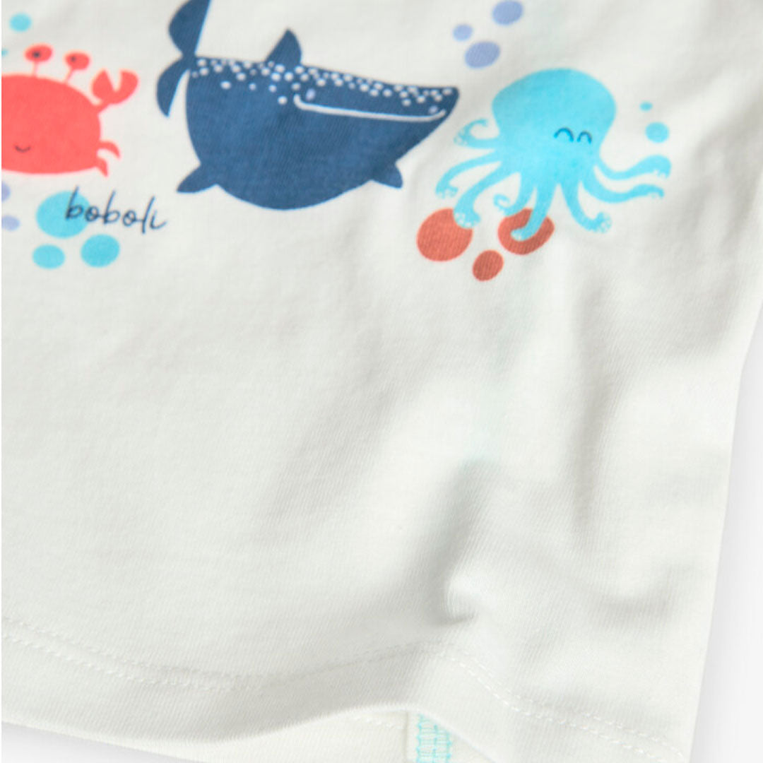 Surprise Baby Gift - Boy