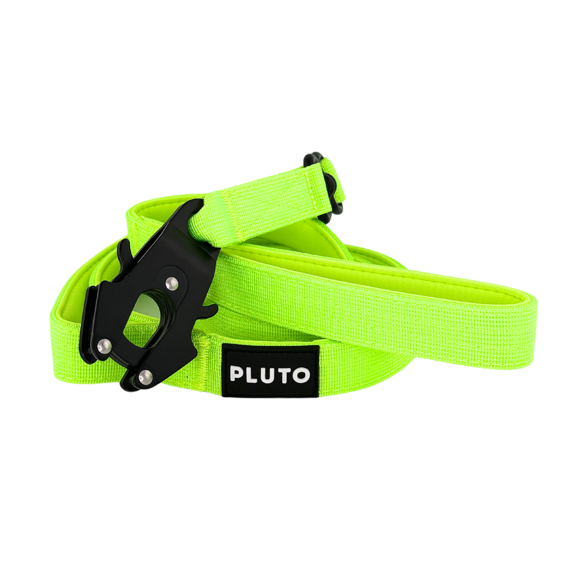 Laisse pour chien robuste