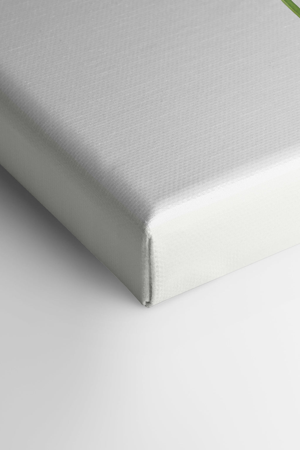 CILANTRO, Stretched Canvas Artwork