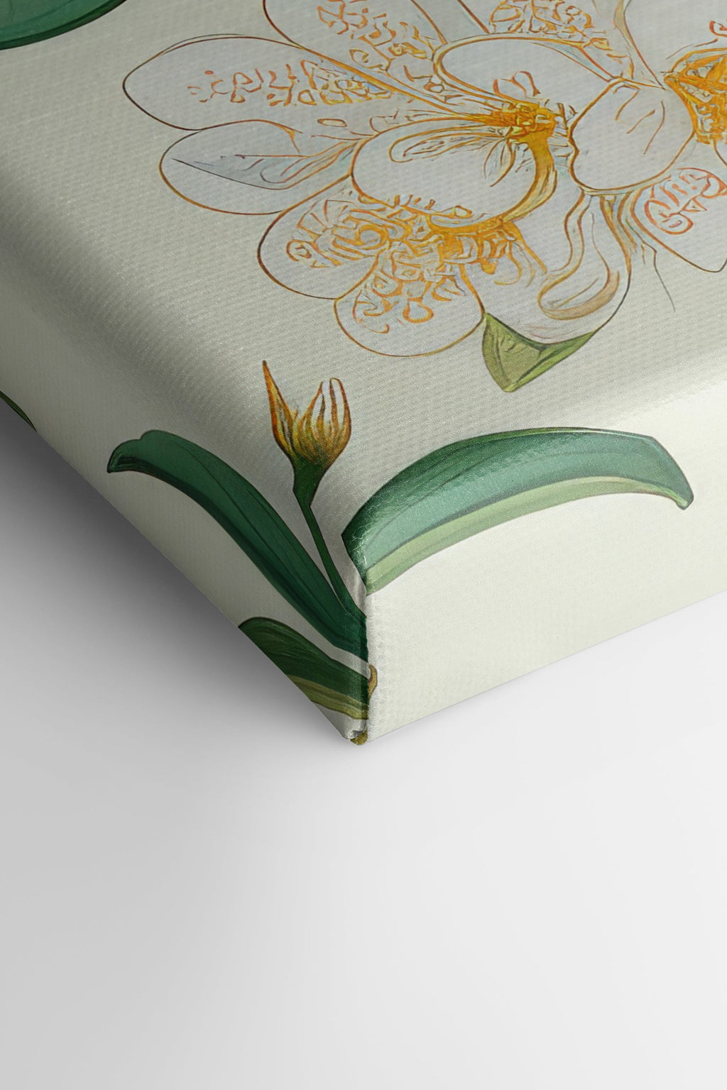 FRUIT PRINT, Stretched Canvas Artwork