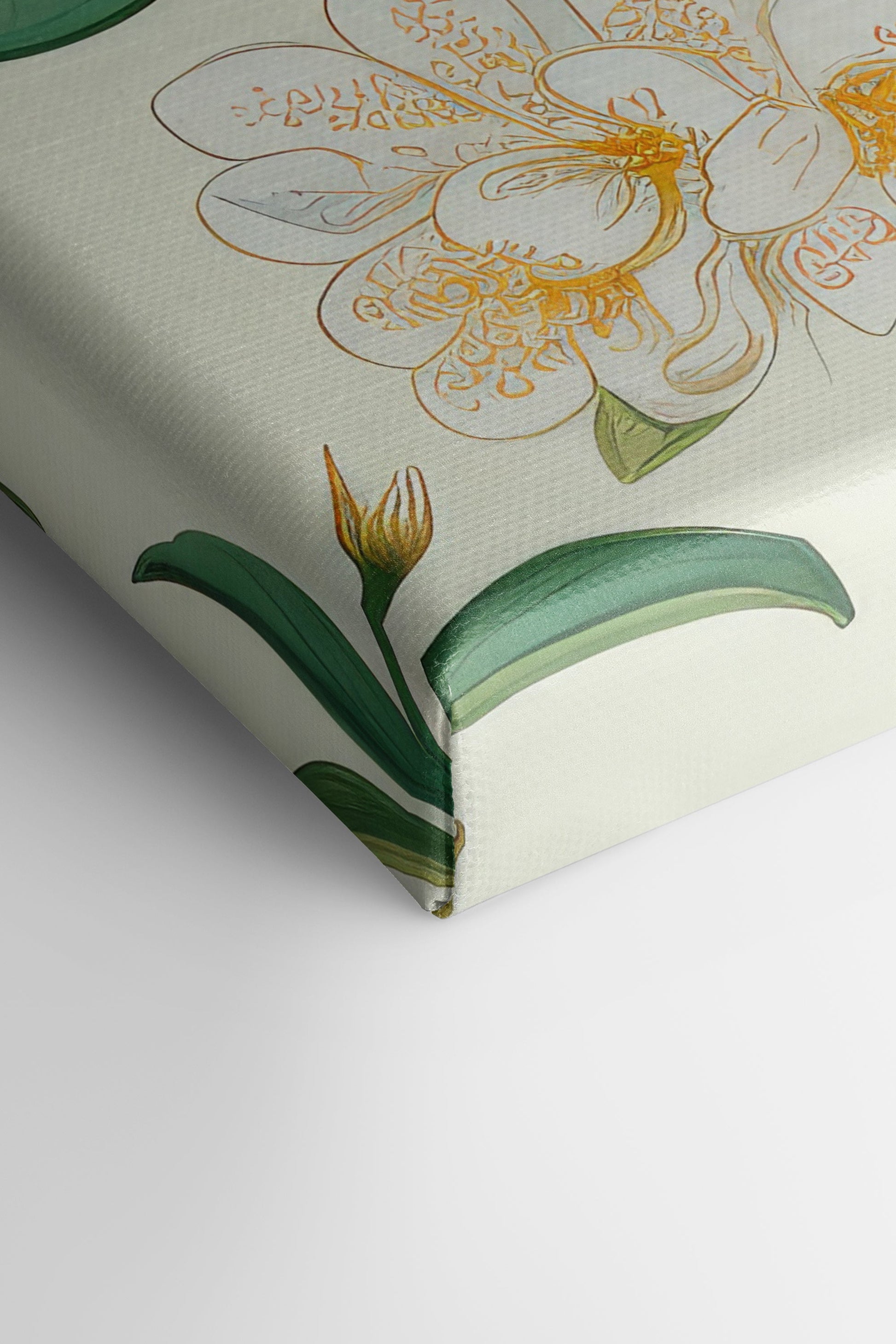 FRUIT PRINT, Stretched Canvas Artwork