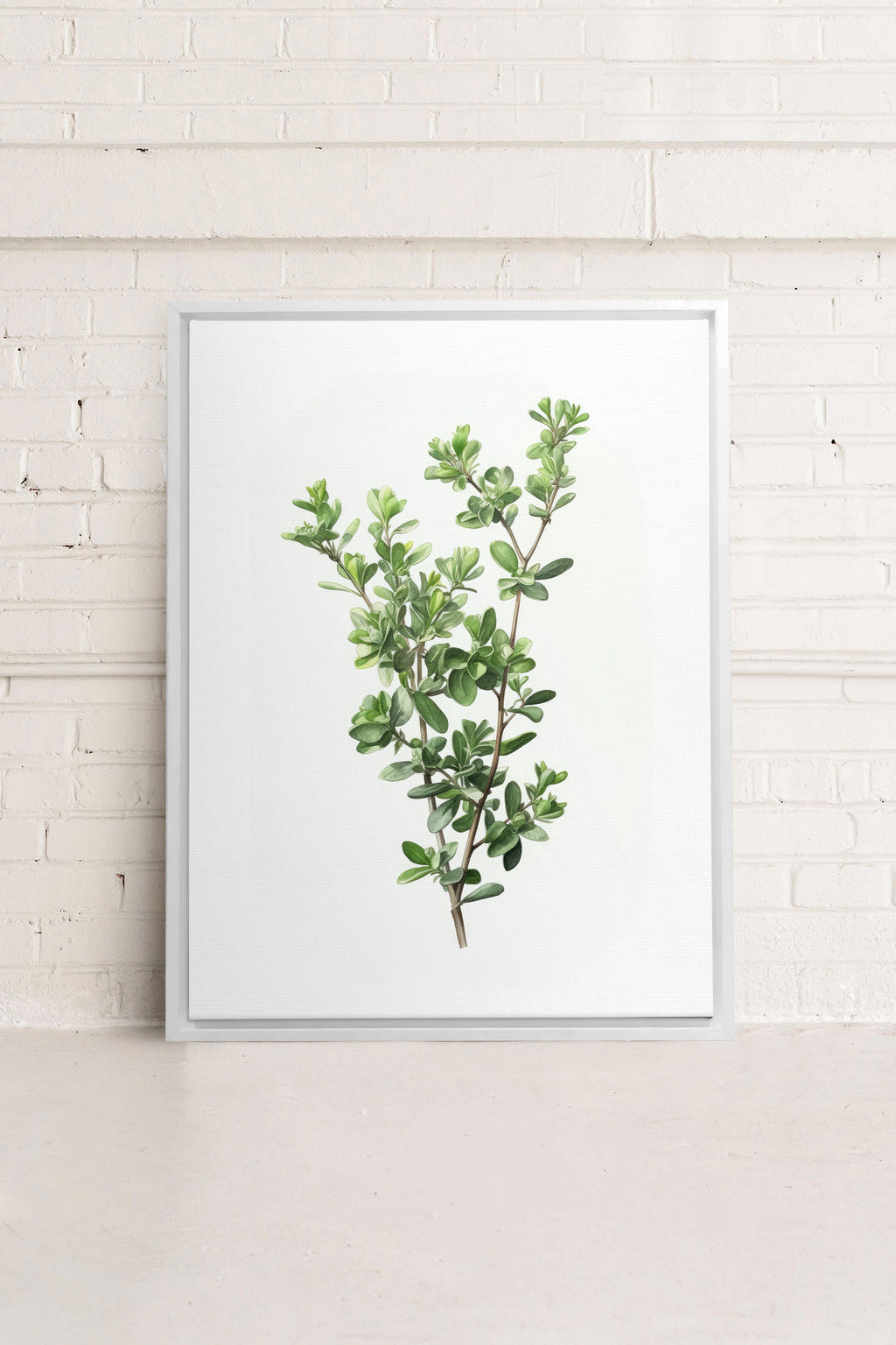 THYMARIS, Stretched Canvas Artwork