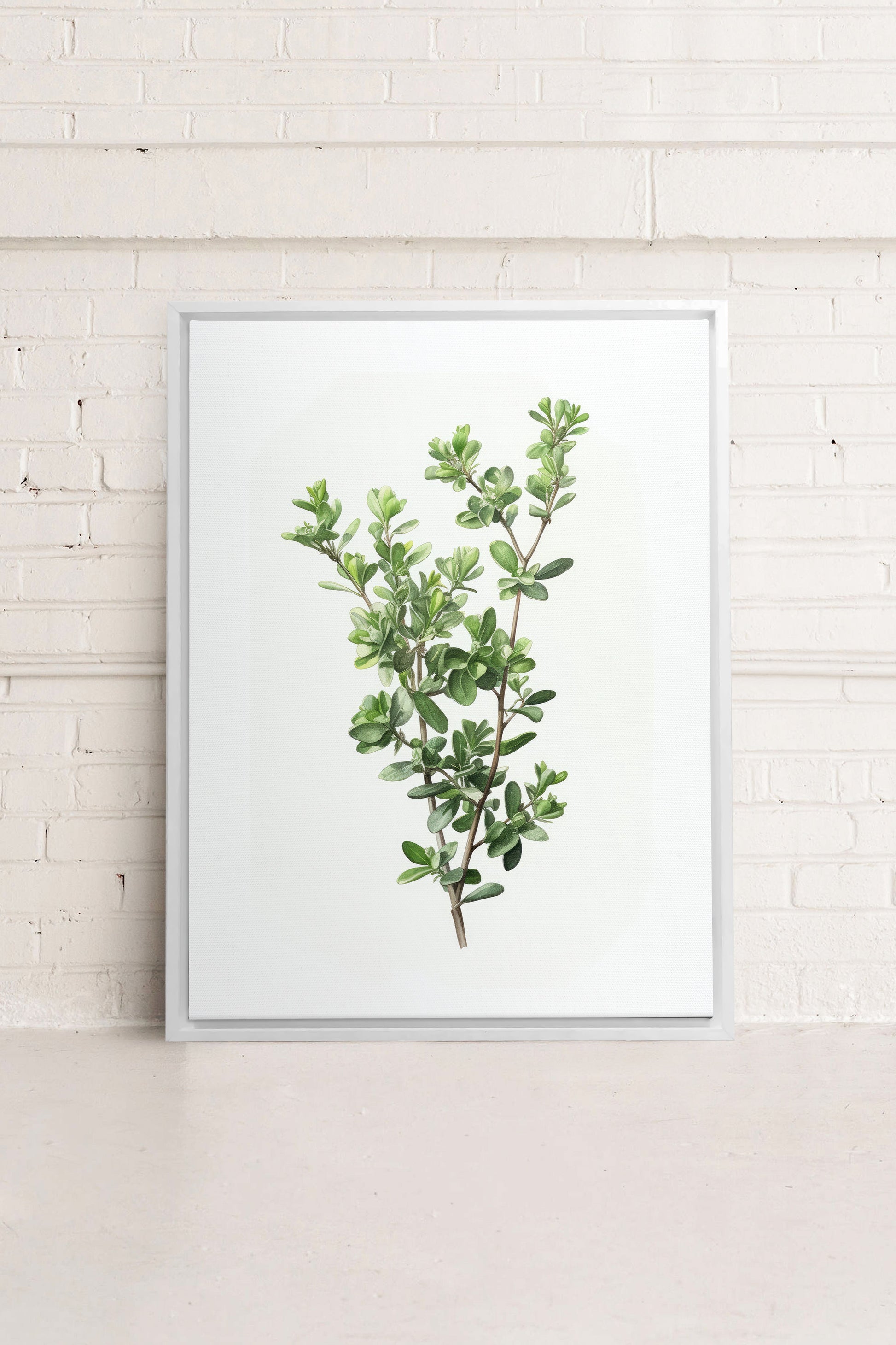 THYMARIS, Stretched Canvas Artwork