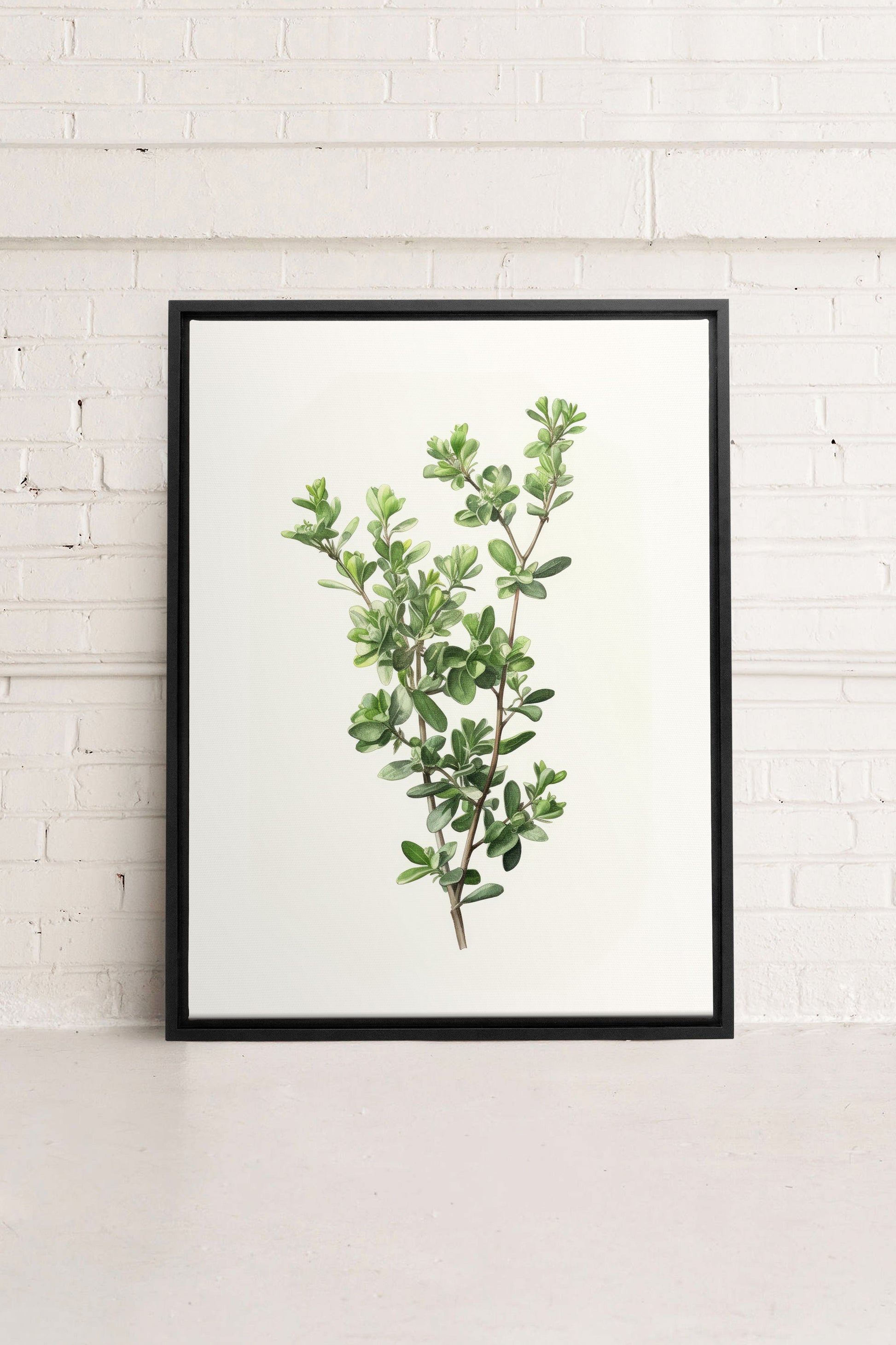 THYMARIS, Stretched Canvas Artwork