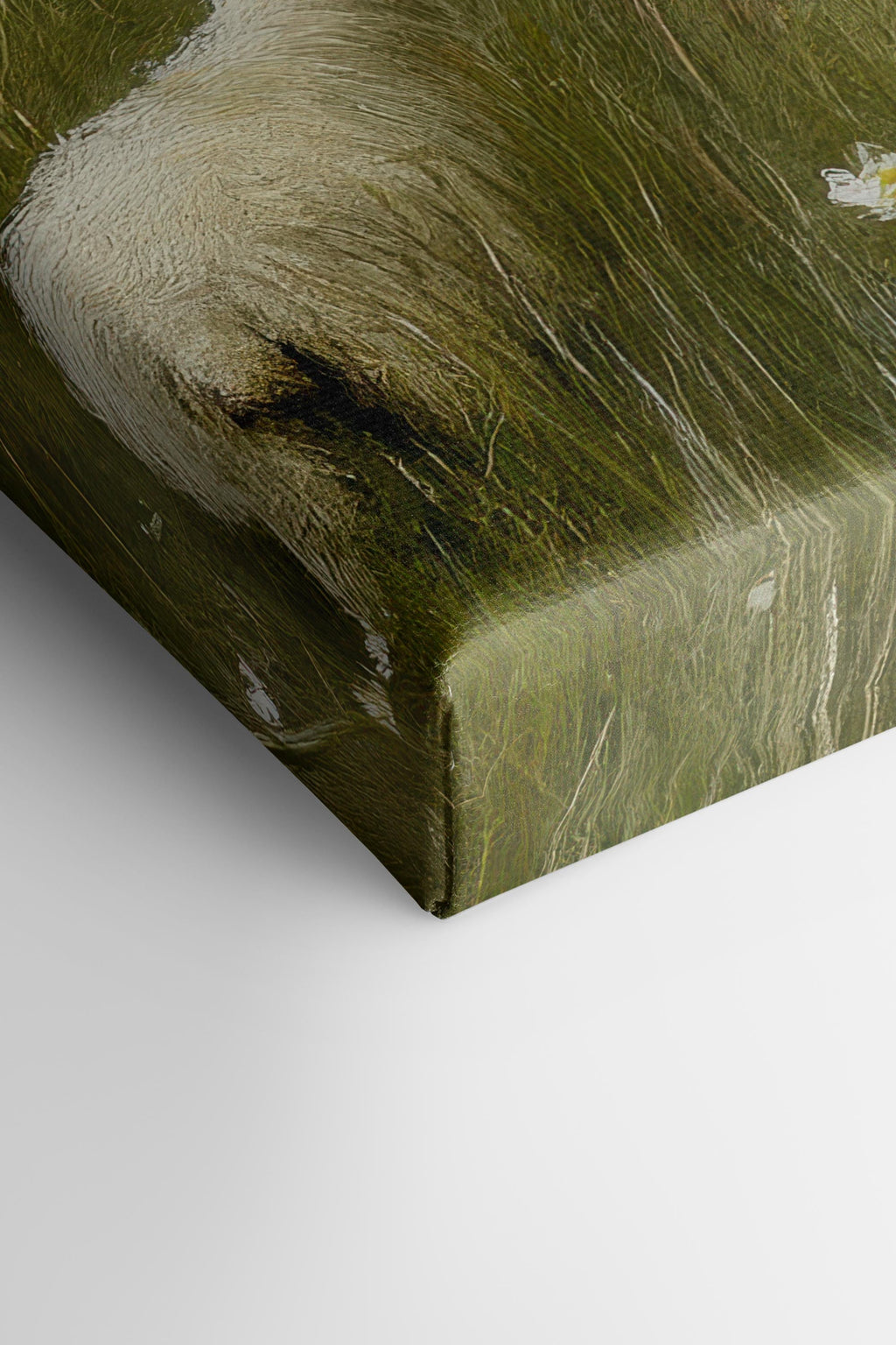 Wool & Wind, Stretched Canvas Artwork