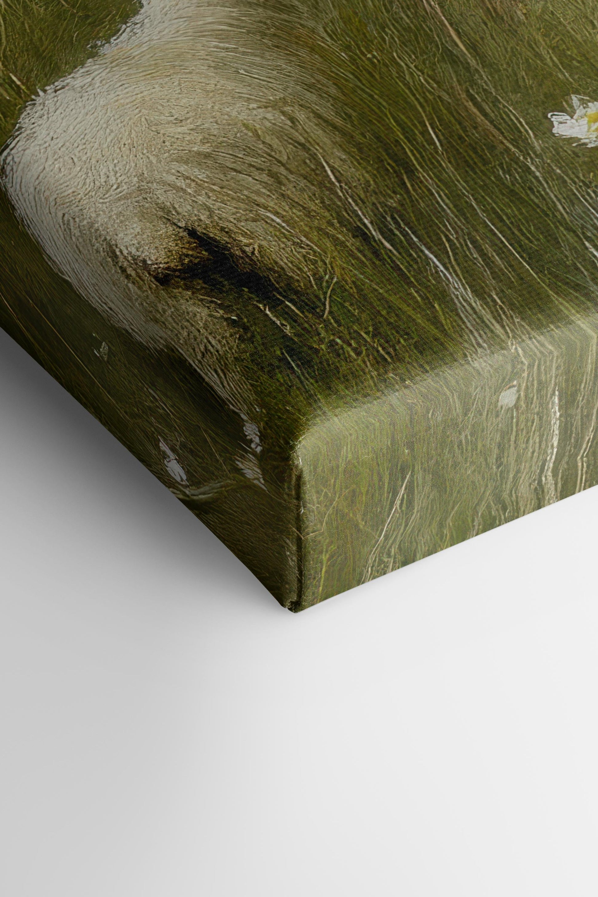 Wool & Wind, Stretched Canvas Artwork