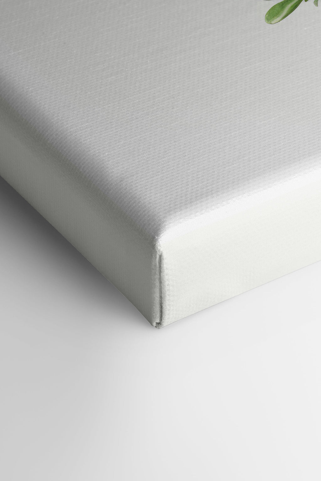 THYMARIS, Stretched Canvas Artwork