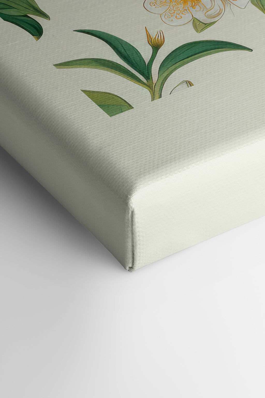 FRUIT PRINT, Stretched Canvas Artwork